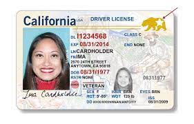 Provide the following documentation to the license and permit specialist: Dmv To Offer Real Id Driver License And Id Cards January 22 California Dmv