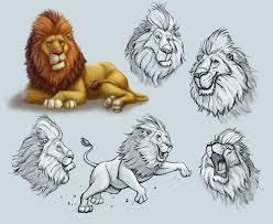 Lion Character Design חיפוש ב Google Lion Sketch Comic Drawing Wildlife Artwork