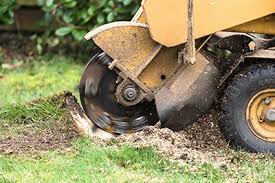 It ends in eugene, oregon. Tree Service And Removal In Fairhope Al