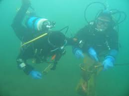 We did not find results for: Badesee Halen Taucher Net