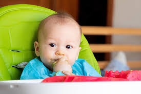 Auch wenn das kind über längere zeit insgesamt nur sehr wenig feste die umstellungsphase von reiner muttermilchnahrung auf feste kost nimmt in der regel mehrere monate. Baby Led Weaning Gutekueche At