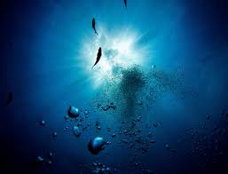 #movies #2020 #under water #hollywood #dark. Free Underwater Hd Wallpapers Scuba Diving Reviews Blog