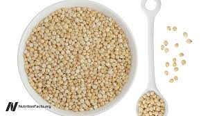Image result for Sorghum