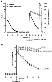 Barbara m fitzpatrick, kelly m fitzpatrick Colocalization Of Atp Release Sites And Ecto Atpase Activity At The Extracellular Surface Of Human Astrocytes Journal Of Biological Chemistry