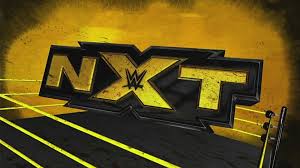 Watch free wrestling online, wwe, raw, smackdown live, impact wrestling, njpw, wwe network shows and many more. Best 34 Wwe Nxt Background On Hipwallpaper Wwe Nxt Wallpapers Paige Nxt Wallpaper And Orlando Nxt Take Over Wallpaper