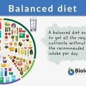 balance diet from www.biologyonline.com