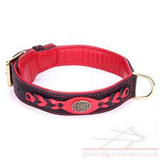 Long black boots and black body. Thick Pitbull Dog Collar Heavy Fire 111 00