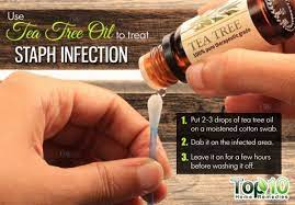 Tea Tree Oil Remedy For Staph Infection Tea Tree Oil For Acne Essential Oils For Eczema Staph Infection