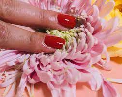 Do you bring flowers on a first date: The 18 Best Flowers To Bring For A First Date