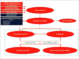 Organizational Structure Of The Living Lab In Ageing And