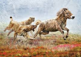 The Saber-Toothed Cat: The Most Memorable Extinct Megafauna