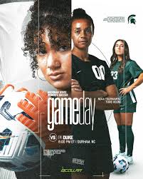 Michigan Soccer for Michigander