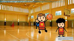How To Become A Sports Scout
