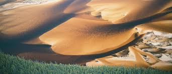 Stretching 100 kilometers along lake athabasca's edge, this unique geophysical formation is a testament to the diversity of the canadian wilderness. Athabasca Sand Dunes Breathtaking The Western Producer