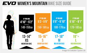 Bike Size Guide Bike Fit Evo Cycles
