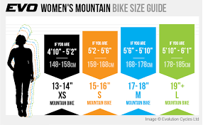 bike size guide bike fit evo cycles