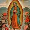 Dia de la virgen de guadalupe. Https Encrypted Tbn0 Gstatic Com Images Q Tbn And9gctrlt6h4gmeeh Udnkvytlaimkzo7qdp J5ibyn3zb0aao60fkc Usqp Cau