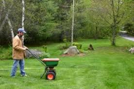 How To Use Lawn Fertilizer Lovetoknow