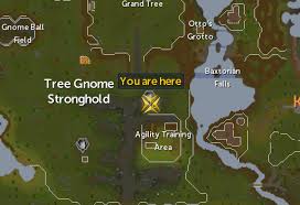 This guide focuses more on the actual path you should take between these different farming p. Farming Patches Map Runescape Guide Runehq