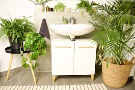 Son aspect graphique et son style féminin s'intégreront parfaitement dans votre déco de salle de bain. Undergreen Bien Choisir Les Plantes Pour Sa Salle De Bain