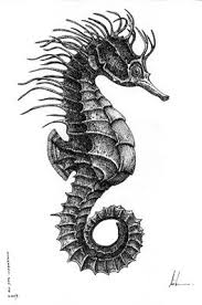Pin By Ashley Grace On Art And Things I Wish I Had Thought Of First Black Ink Art Seahorse Drawing Seahorse Tattoo