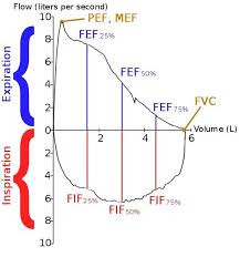 Lung Volumes Flow Volume Loop Chart Line Chart Diagram