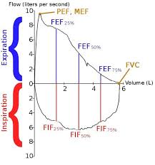 lung volumes flow volume loop chart line chart diagram