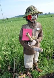 Pak tani mau topi berwarna ungu. 99 Caping Petani Kartun Cikimm Com