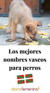 Pin En Perros