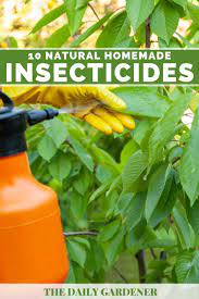 These organic pest control sprays really work. 10 Natural Homemade Insecticides That Won T Hurt Your Garden