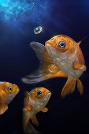 Goldfish Fish Art Watercolor Fish Goldfish Art