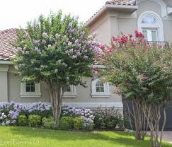 60 Beautiful Small Flowering Trees Front Yards Design Ideas Backyard Landscaping Home Landscaping Landscape Design