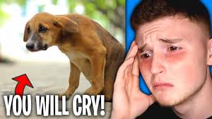 The Saddest Videos On The Entire Internet You Will Cry Youtube