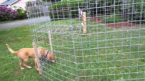 Great savings & free delivery / collection on many items. Trapping Lost Pet Research And Recovery