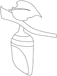 My little pony queen chrysalis coloring pages with archives bravica. Pin On Bug Stuff