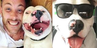 新手毛爸曬可愛毛小孩照照片竟意外引來警方關注| 寵毛網| NOWnews今日新聞