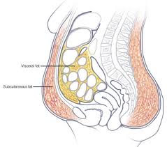 Abdominal and breast fold fungus was a constant burden with me for years. You Don T Have To Do Endless Crunches How To Get Rid Of Your Tummy Overhang