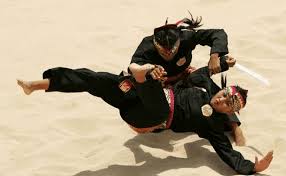 Adalah salah satu jenis buah (teknik) menjatuhkan musuh dengan. Pencak Silat Teknik Jatuhan Dalam Pencak Silat Penjaskes Co Id