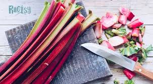 Thank you for these instructions on how to freeze them. 9 Ways To Preserve And Use Rhubarb Rootsy Network