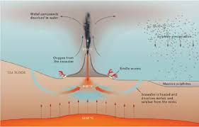 They contain valuable metals and rare earth elements and are therefore of great economic. Map Showing The Geographical Distribution Of The Presence Of Download Scientific Diagram