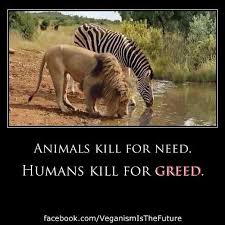 Pin On Read Think And Share