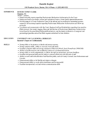 senior typist clerk resume samples