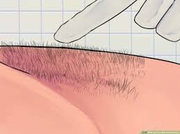We did not find results for: How To Do A Male Brazilian Wax With Pictures Wikihow