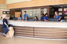 The hospital's long history of excellent care and patient satisfaction is due to the accomplishments of our attentive, experienced and caring medical team. Our Animal Hospital Vca Veterinary Specialists Of The Valley Hospital Design Veterinary Animal Hospital