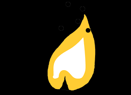 Check spelling or type a new query. Fire Gunter S Dgm Portfolio