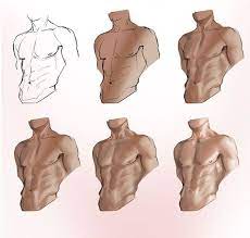 Human reference figure drawing reference anatomy reference reference images photo. 280 Draw Human Torso Ideas In 2021 Anatomy Drawing Anatomy Reference Drawings