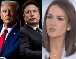 Nicole Steeves's Instagram, Twitter & Facebook