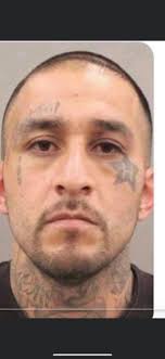 For those who wanted an update