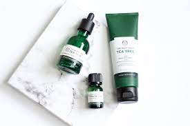 I have recently started using the tea tree range from the body shop and loving it! The Body Shop Tea Tree Range Review Really Ree