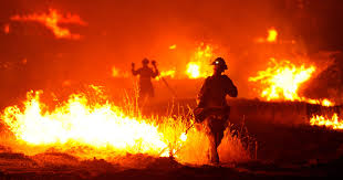 Prepare for wildfires stay safe during after a wildfire additional resources wildfires are unplanned fires that burn in natural areas like forests, grasslands or prairies. 3 Words To Help Wildfire Response With Intterra What3words